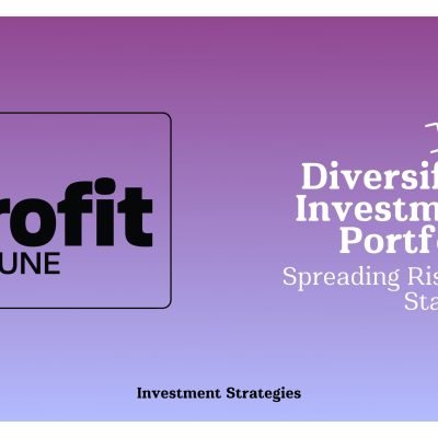 Diversified Investment Portfolio