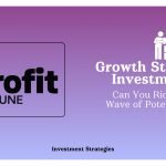 growth stock investment